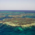 IMG09944 koralovy utes El Malahi